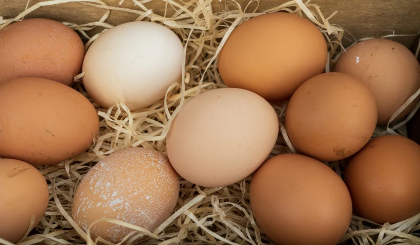 10 маловідомих секретів курячого яйця - 3 - Relocate.to 10 маловідомих секретів курячого яйця - 3
