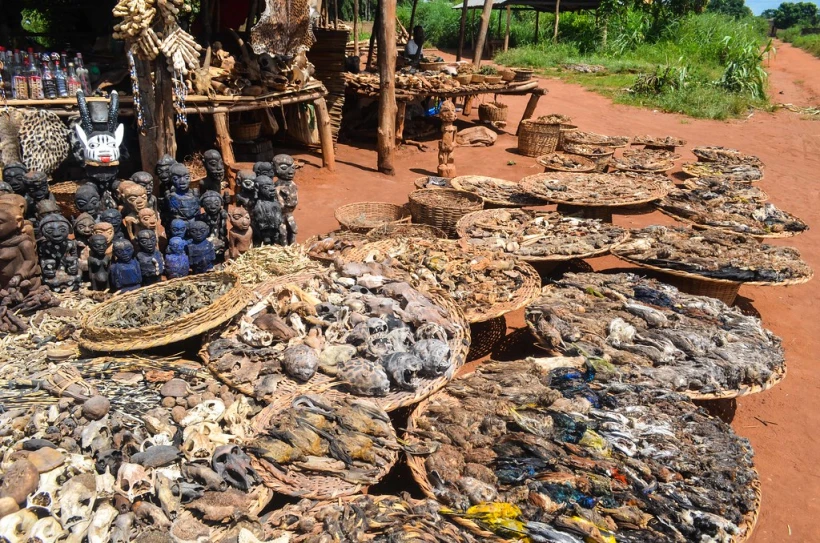 Voodoo and tourism in Benin - FreeWheely | Cycling Africa and other  adventures