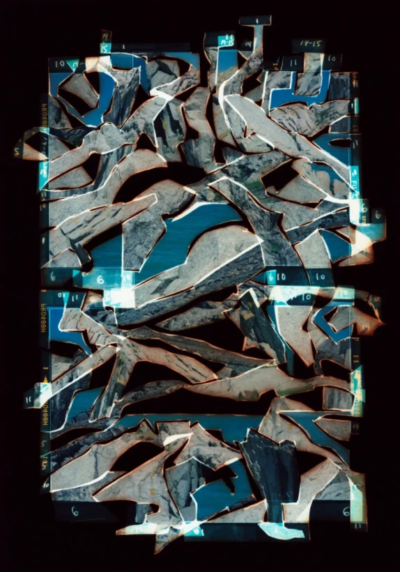 У Лондоні показали найкращі знімки за версією Sony World Photography Awards 2026 - 13