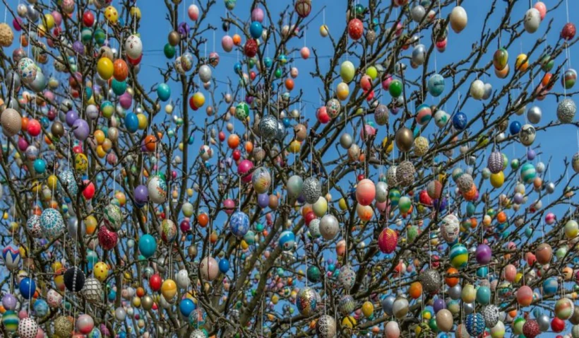 Немецкая семья украсила дерево 10 тысячами яиц - 3