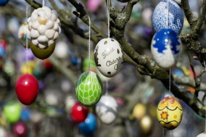 Німецька родина прикрасила дерево 10 тисячами яєць - 5