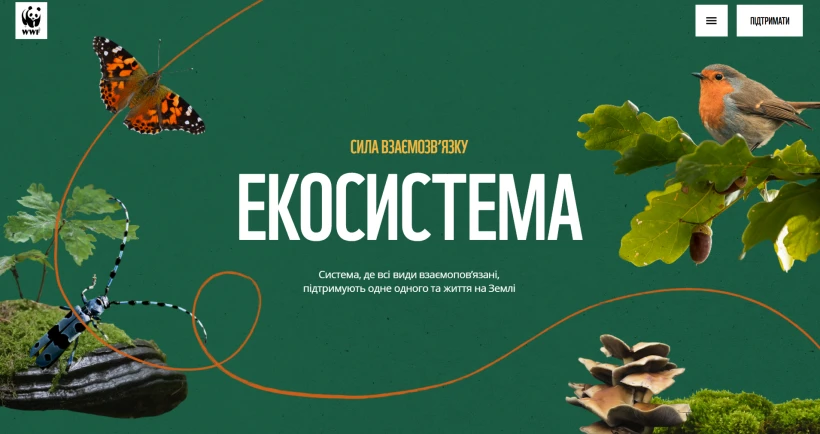 WWF-Україна запустив платформу про ліси і їхню роль у житті країни - 4