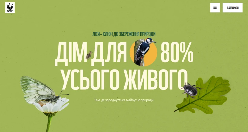 WWF-Україна запустив платформу про ліси і їхню роль у житті країни - 5