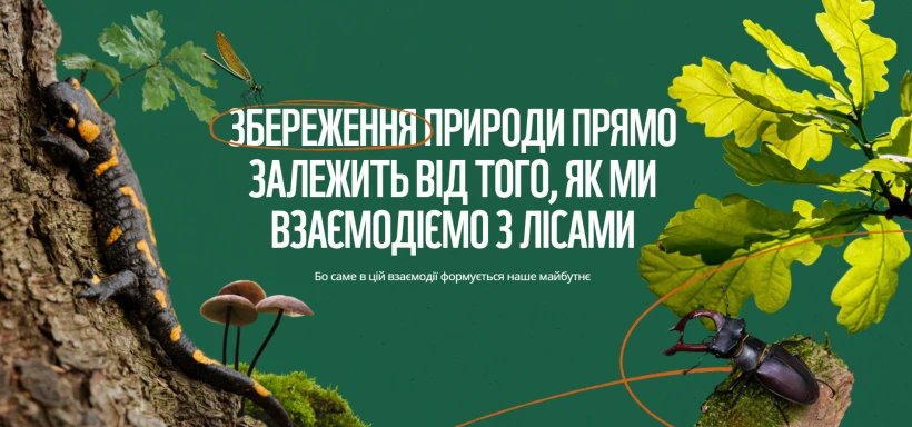 WWF-Україна запустив платформу про ліси і їхню роль у житті країни - 6