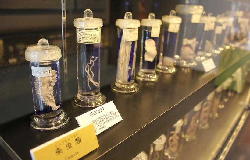 Япония, о которой вы не знали: ТОП-10 мест, поражающих воображение - 5 - Relocate.to Япония, о которой вы не знали: ТОП-10 мест, поражающих воображение - 5