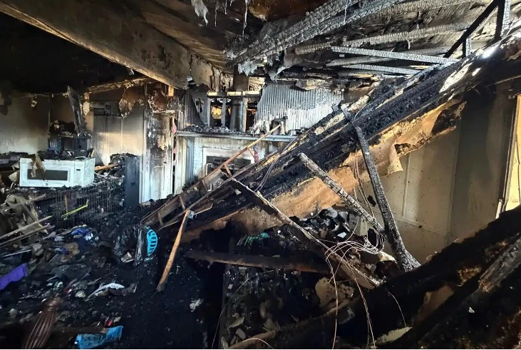 У США білка перегризла дроти та спалила будинок - 3