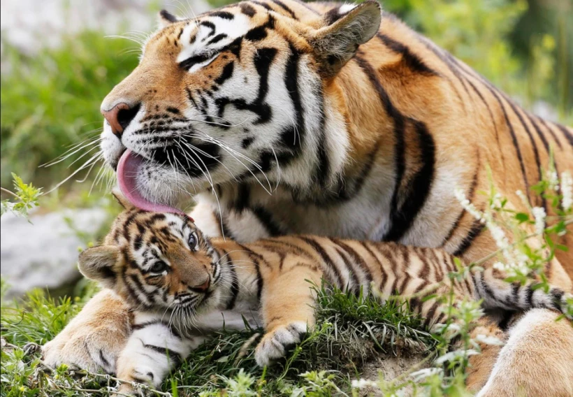 7 найяскравіших заходів Берліна у квітні 2026 - 6