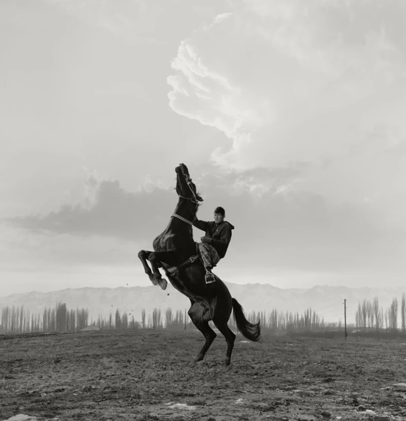 В Лондоне показали лучшие снимки по версии Sony World Photography Awards 2026 - 16