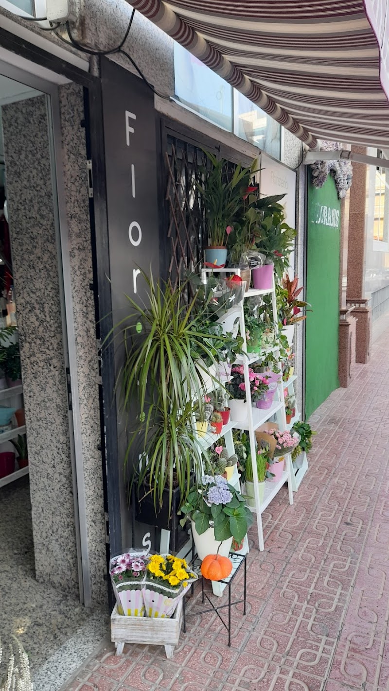 Floristería en Torrevieja - Florans