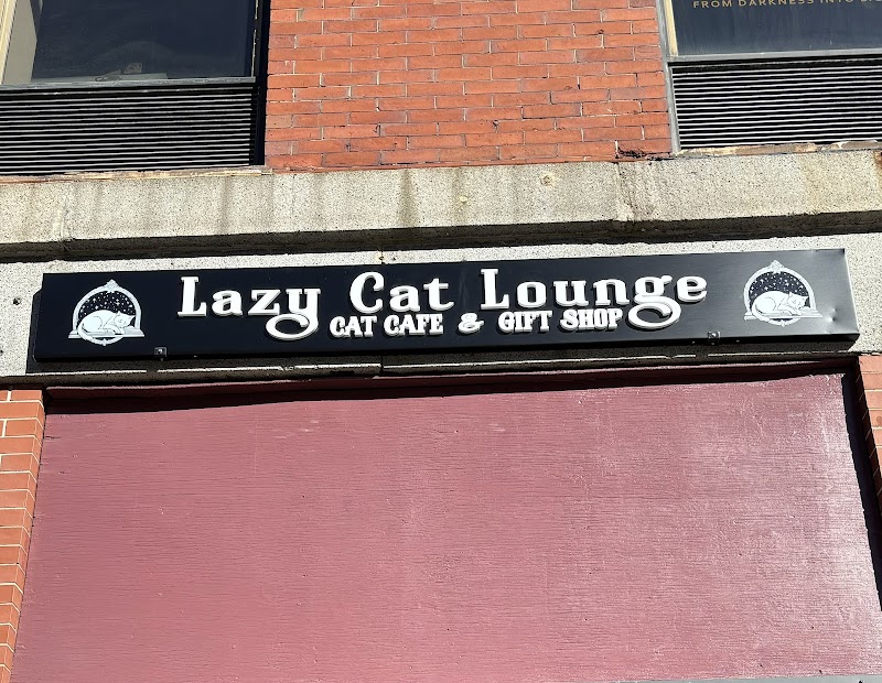 Lazy Cat Lounge