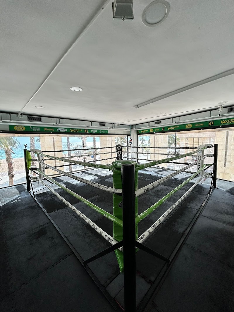Kyshenko Gym