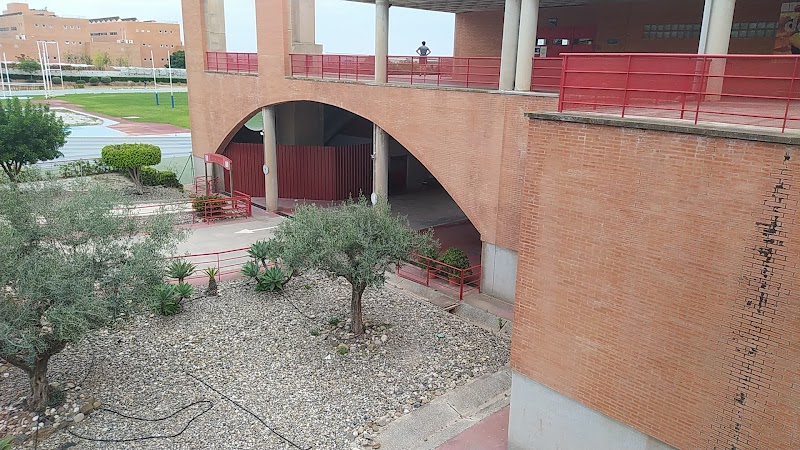 Maydan Málaga. Asociación de ucranianos en Costa del Sol