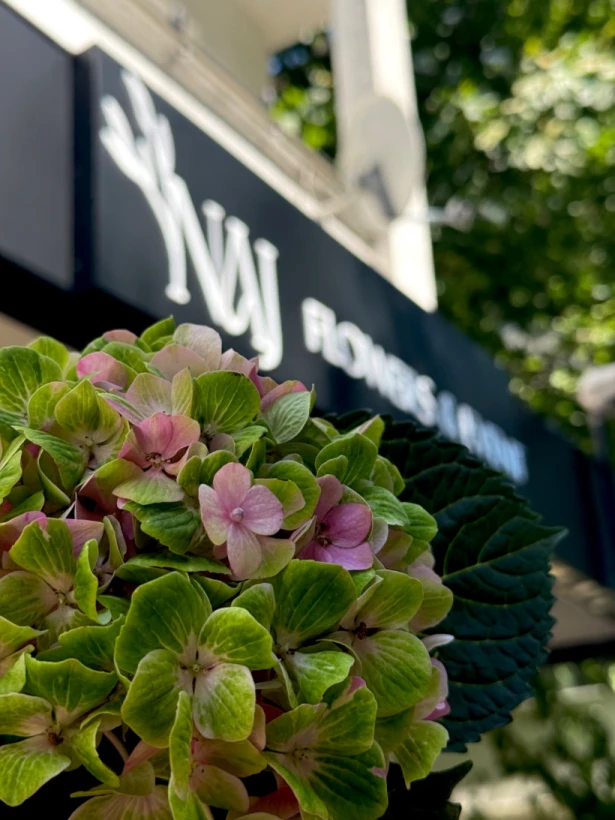NAJ FLOWERS & EVENT