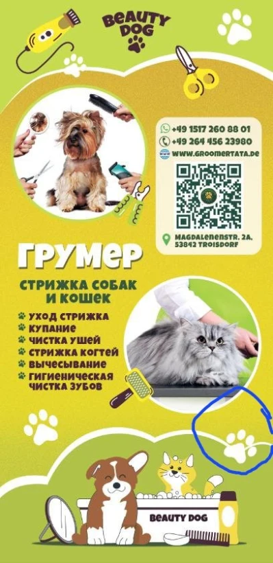 Beauty Dog — грумінг-салон для собак і котів у Troisdorf