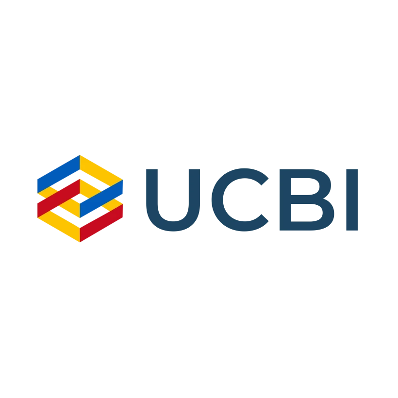 UCBI - Ukrainian Consulting Business Integration