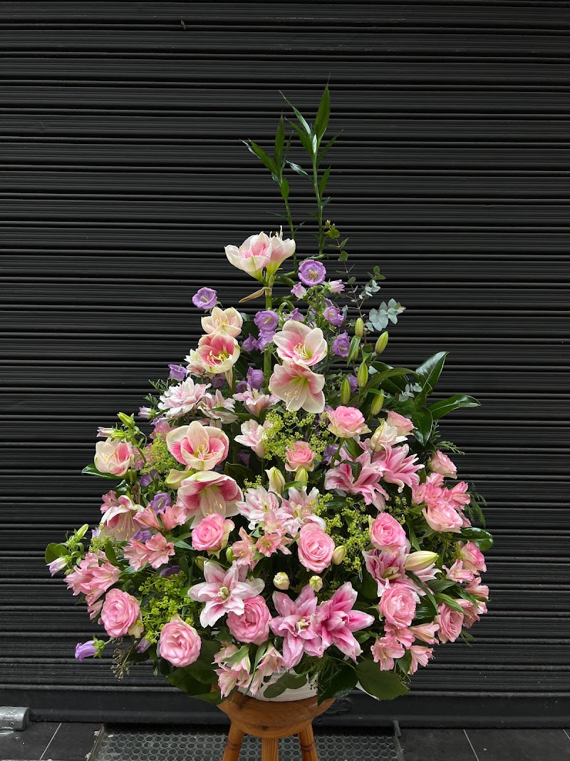 Flores de NATA