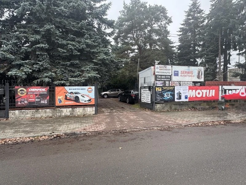PRO100AUTO WESOŁA - Warsztat samochodowy