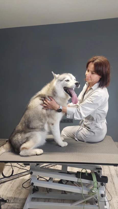 PET SPACE salon za nego psov in mačk