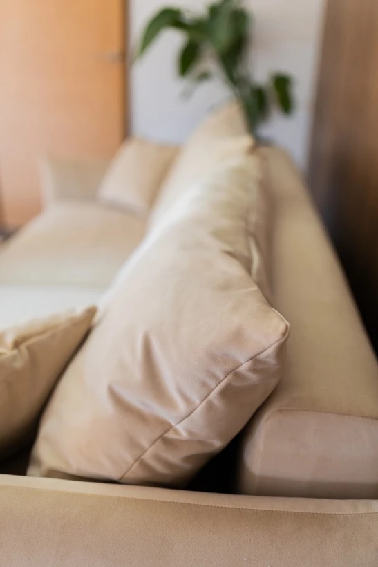 Cardenal Furniture & Interiors