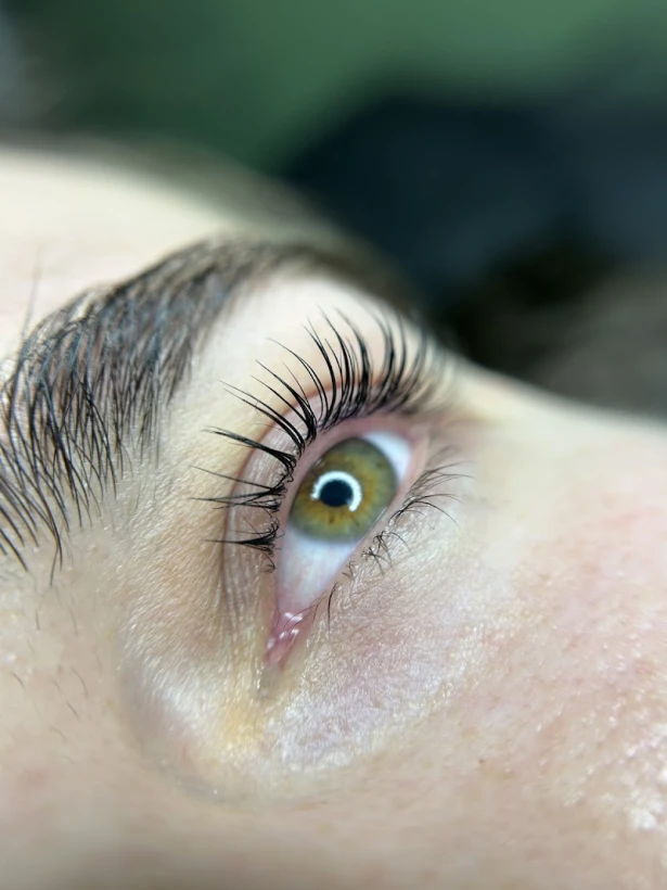 Lash&Brows