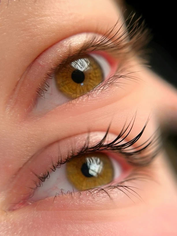 Lash&Brows