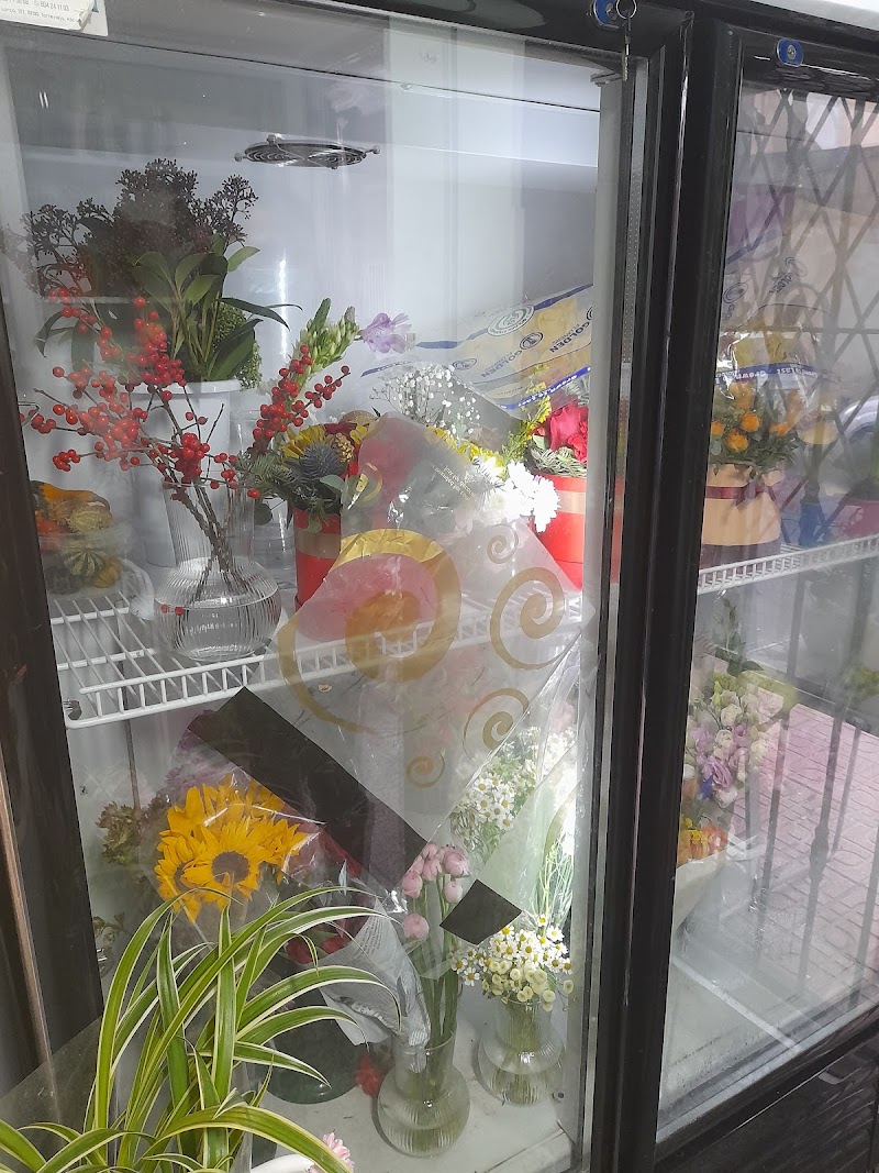 Floristería en Torrevieja - Florans